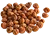 Ořechy a partikl