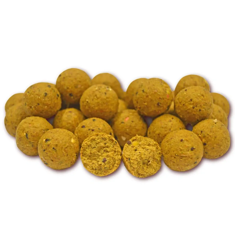 TB Baits Boilie Scopex Squid 20mm – 10kg