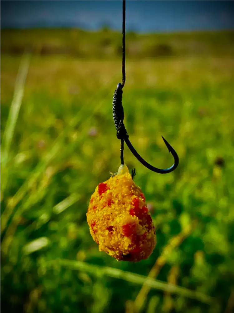 LK Baits CUC! Raisin Plum 50 g