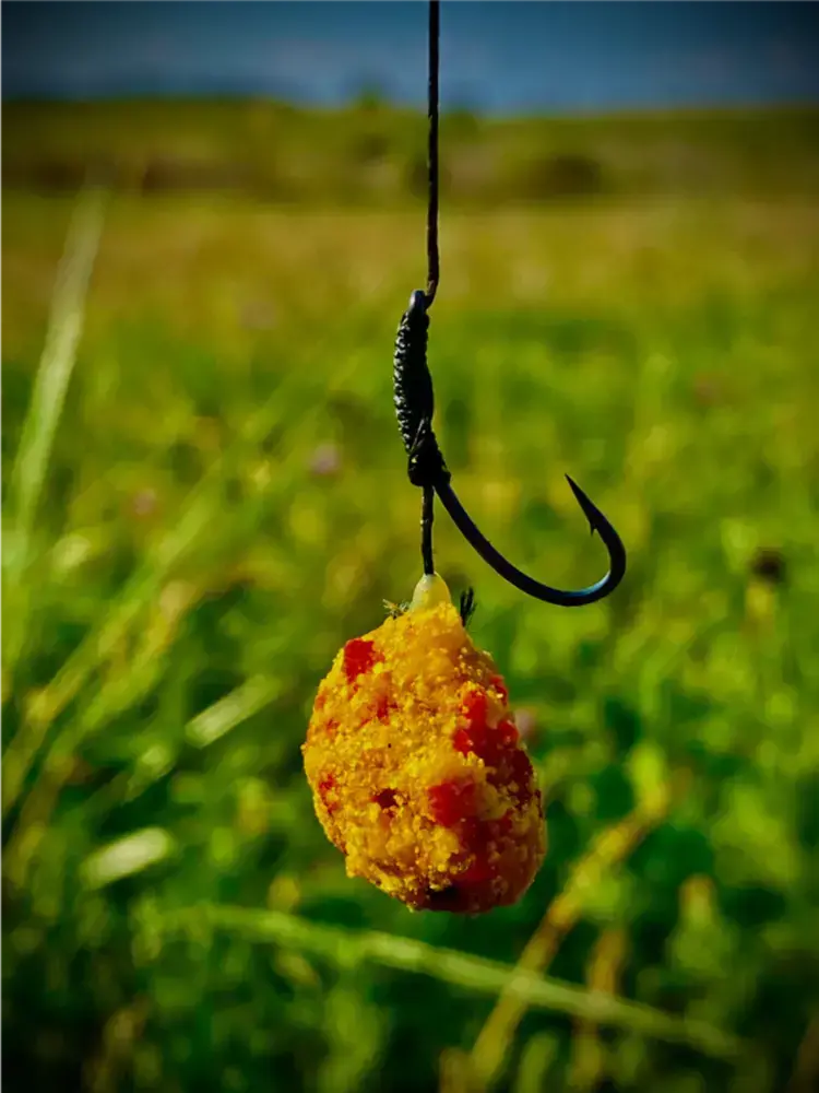 LK Baits CUC! Raisin Lesní jahoda 50 g
