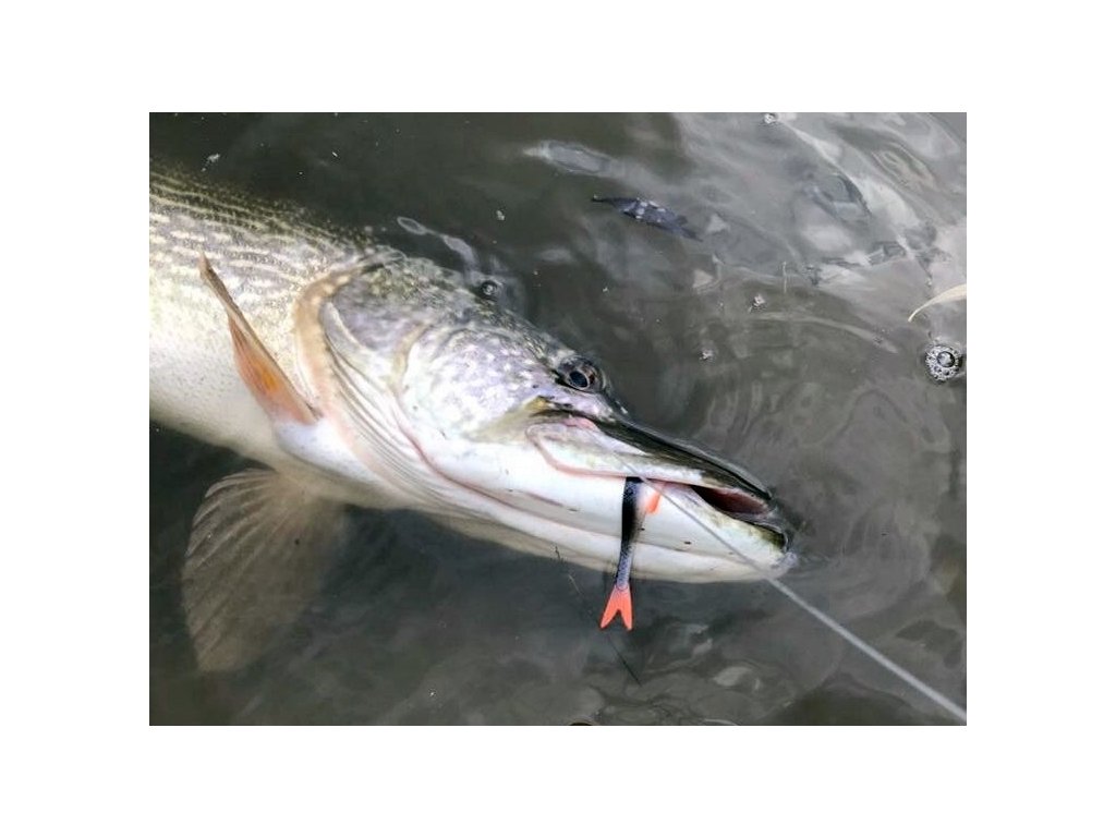 Finesse Filet 15cm - Purple Rave
