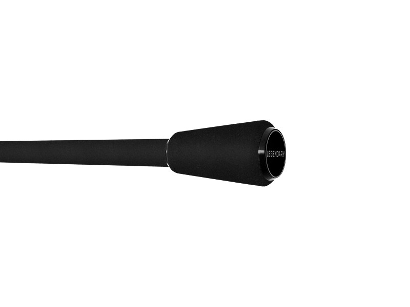 Prut Delphin ETNA LEGEND4RY 3,6 m 3,25 lb