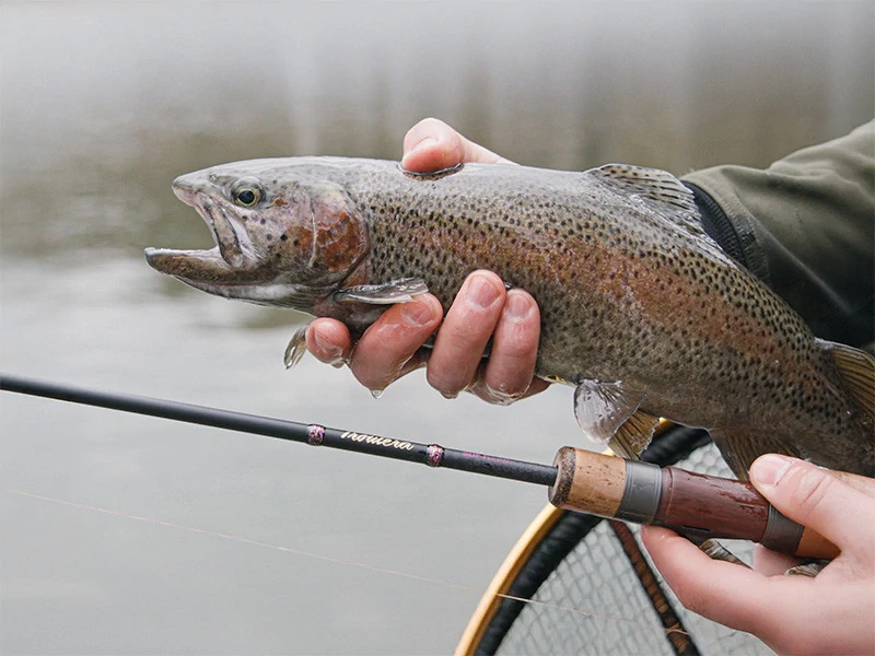 Prut Delphin TROUTERA SoftLURE 2,1 m 1–7 g (2 díly)
