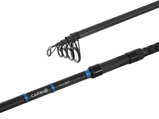 Prut Delphin CAPRI Tele NXT 2,4 m 60 g