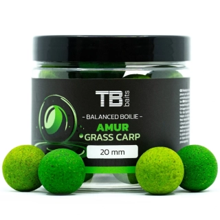 TB Baits Vyvážené Boilie Balanced + Atraktor Amur 100g - 20mm